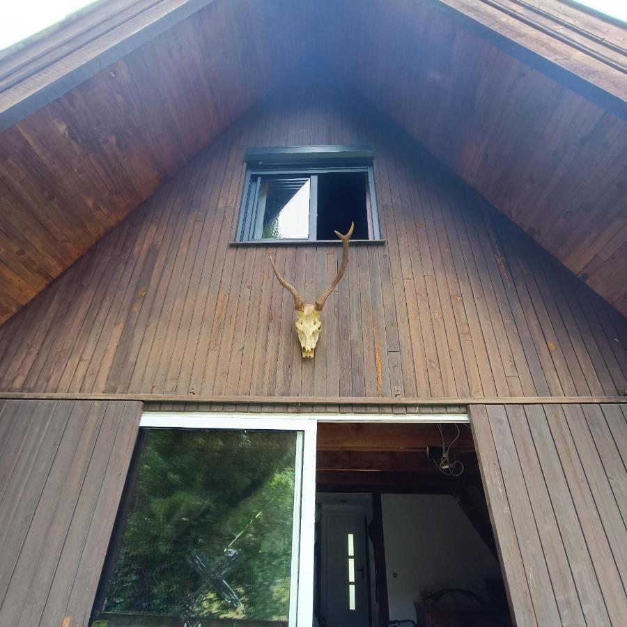 Chalet- Vallee De Luchon - Vallee De La Pique Cierp 外观 照片