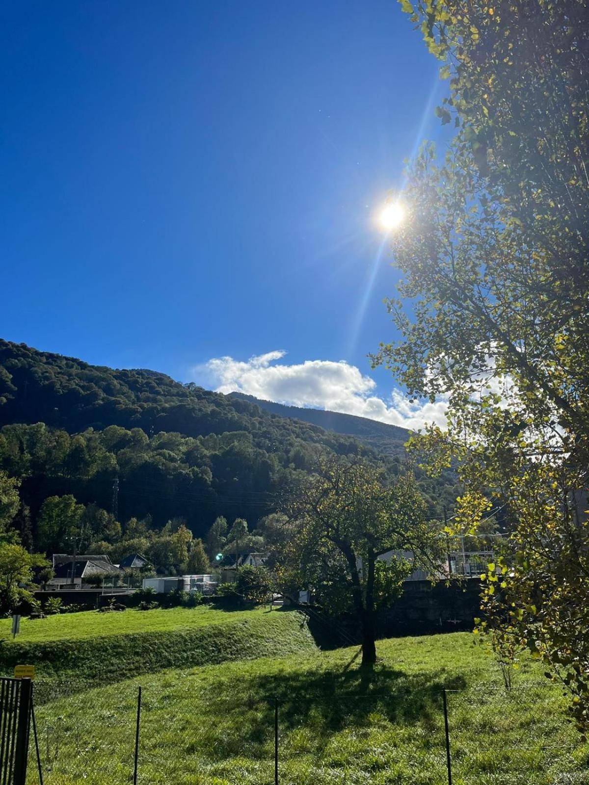 Chalet- Vallee De Luchon - Vallee De La Pique Cierp 外观 照片